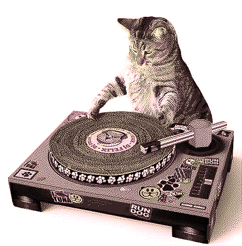 cat on a DJ scratcher