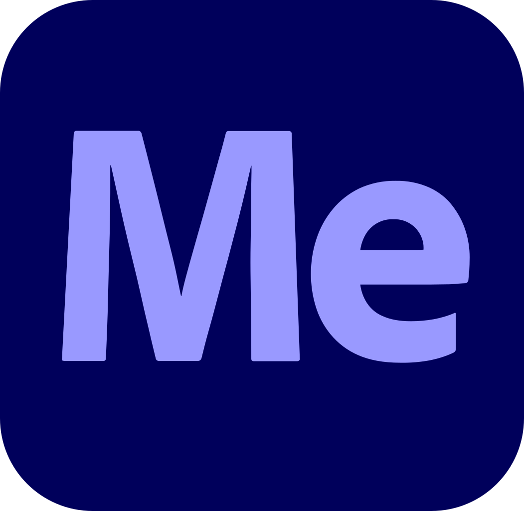 program icon
